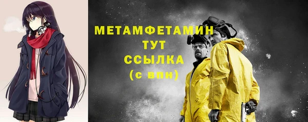 молекула духа Пестово