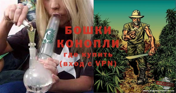 сатива Покачи