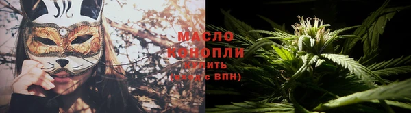 сатива Покачи