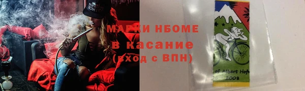 молекула духа Пестово