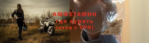 сатива Покачи