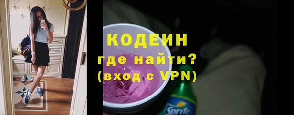 молекула духа Пестово