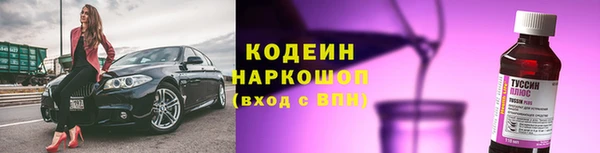 молекула духа Пестово