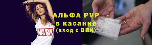 молекула духа Пестово