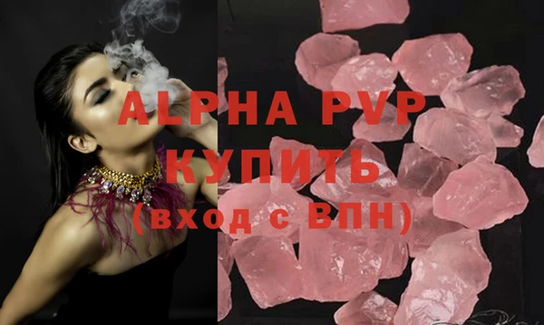 сатива Покачи