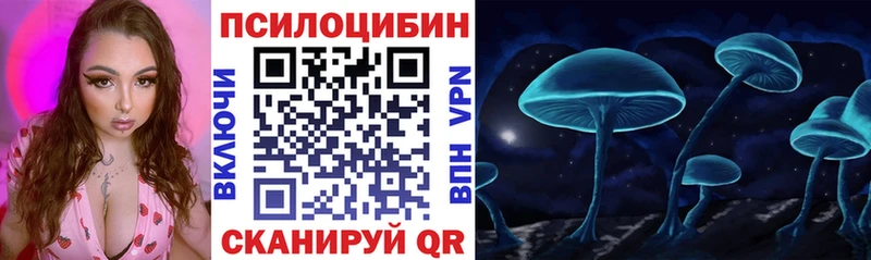 даркнет сайт  Асино  Псилоцибиновые грибы прущие грибы 