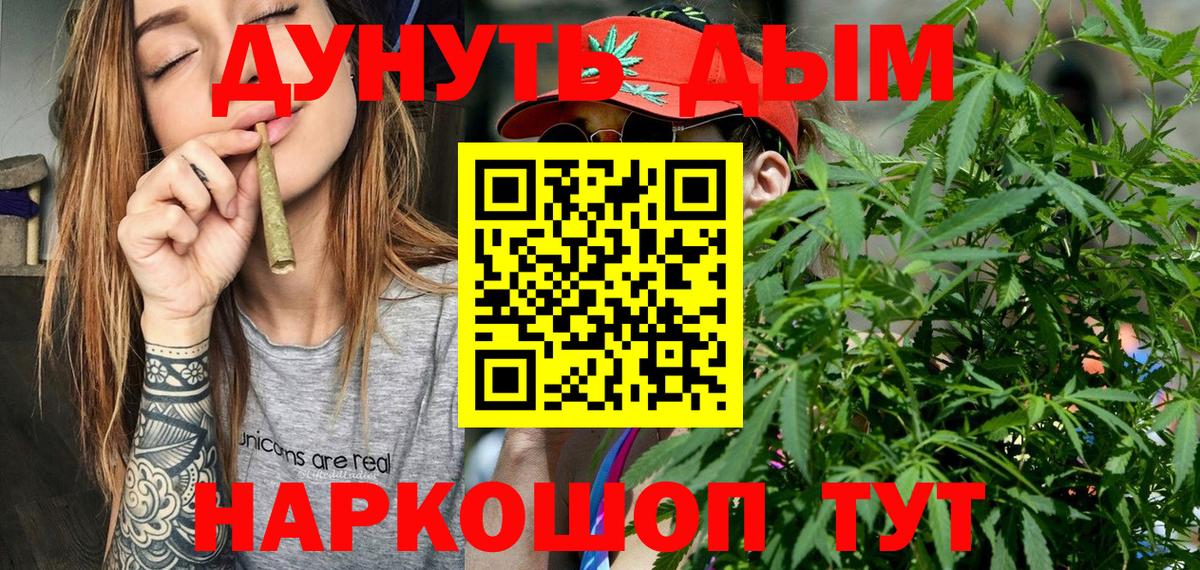 Канабис THC 21%  Асино  Бошки марихуана планчик 