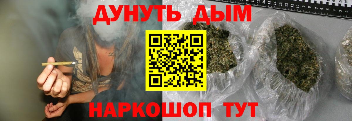 Марихуана сатива Асино